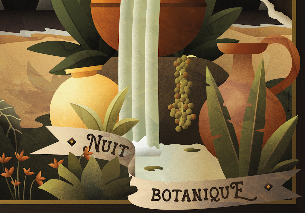 Image projet - Nuit Botanique