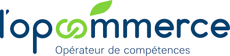 Logo L&rsquo;opcommerce